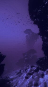 Beneath the surface, a dreamy world of purple hues unfolds. Schools of fish swim gracefully among rugged rocks, hinting at the mysteries hidden within the depths of the ocean.