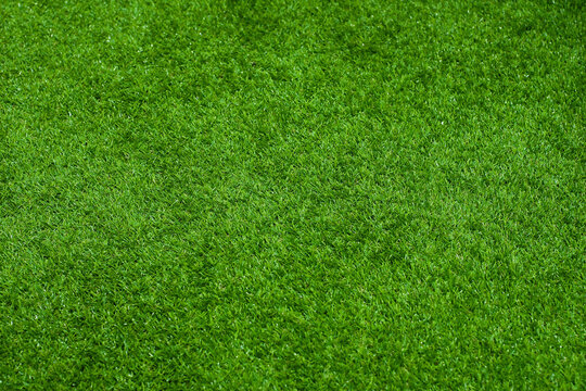 background, texture, grass, green, growth, fresh, vibrant, summer, nature, natural, topview, field, plant, organic, landscape, lush, foliage, ground, peaceful, meadow, clean, environment, lawn, park, 