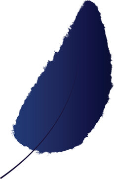 Abstract Blue Feather Shape with Smooth Gradient and Organic Form. This modern illustration blends simplicity with visual depth, making it ideal for contemporary creative projects.