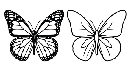 Two butterflies one detailed one outline in a black and white drawing © Md Anisur Rahman 