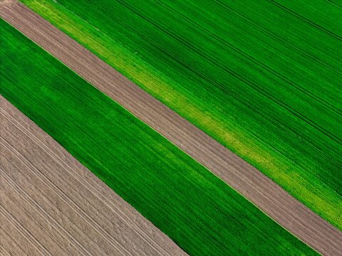 Aerial view of vibrant green fields patterned with rich brown earth, showcasing the rhythmic textures of cultivation, Wintzenheim-Kochersberg, Grand Est, France.