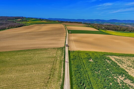 Aerial view of a long, straight path cuts through the contrasting textures of fields, leading the eye towards the distant, hazy mountains, Wintzenheim-Kochersberg, Grand Est, France.