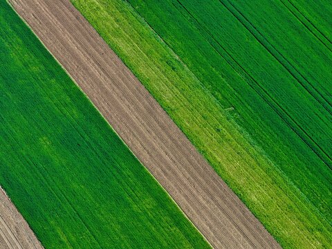 Aerial view of geometric strips of vibrant green crops contrasting with rich brown earth, Wintzenheim-Kochersberg, Grand Est, France.