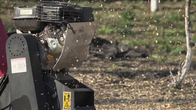 Spring. Wood chipper in the garden, chopping branches resulting from tree cleaning