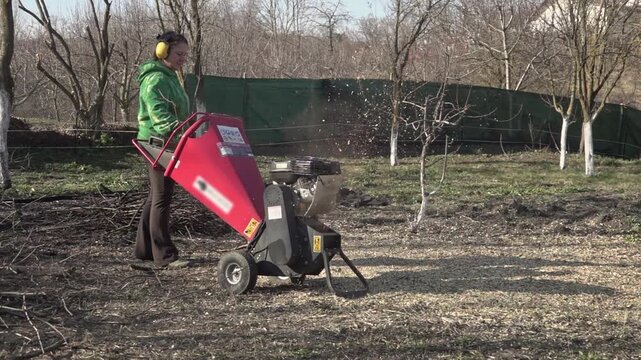 Middle-aged woman in the garden in spring, chopping branches with a wood chipper