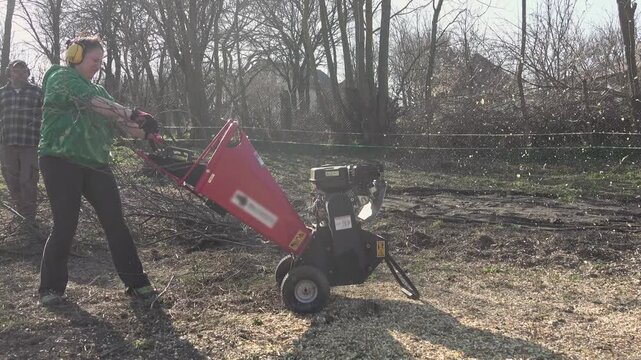 Middle-aged woman in the garden in spring, chopping branches with a wood chipper