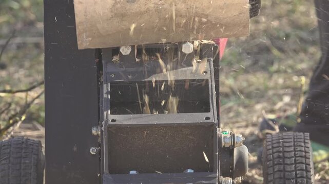 Spring. Wood chipper in the garden, chopping branches resulting from tree cleaning