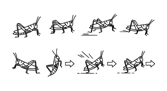Grasshopper Locust Motion Icon Set with Walking Jumping and Leaping Poses in Clean Outline Style for Nature Design