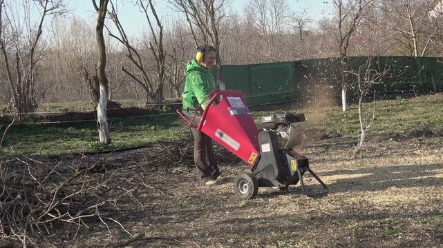 Middle-aged woman in the garden in spring, chopping branches with a wood chipper