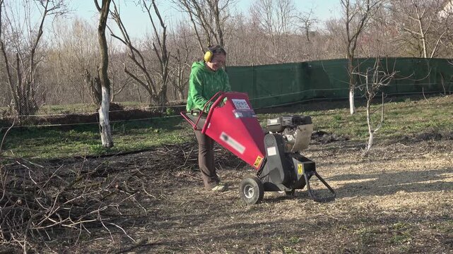 Middle-aged woman in the garden in spring, chopping branches with a wood chipper