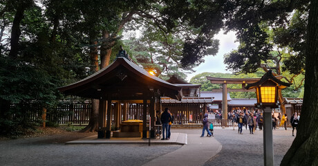 Obraz premium Yoyogi Park and Meiji Jingu Shrine in Tokyo, Japan 