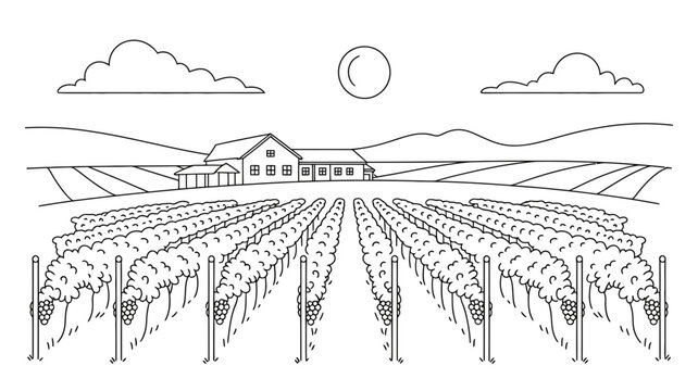 Vineyard landscape with farmhouse and rolling hills at sunset wine making vineyard rows food production