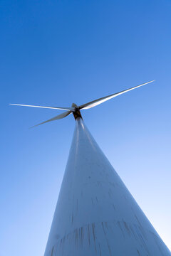 Wind turbine harnessing the wind to produce environmentally friendly wind energy.