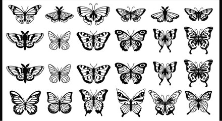 Collection of diverse butterfly illustrations in black and white © Anjumanara Rakhi
