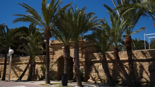 Palm trees next to the Llevant Gate, or Sant Rafael Gate, on the island of Tabarca, Spain, in slow motion x0,5