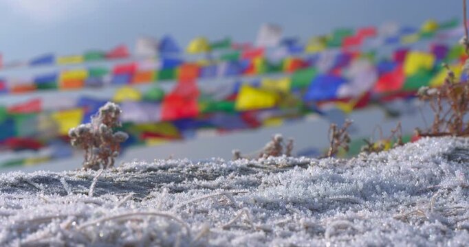 Close up of sparkling frost covering plants and soil in the foreground with colorful prayer flags softly blurred in the background at Ama Yangri Nepal.