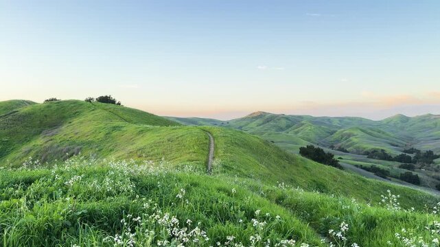 Chino Hills State Park, home to the Ranger Ridge Trail and coyote habitat