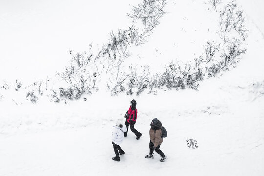 Tallinn, Estonia - 03 January 2025: View of three bundled figures navigating a stark white snowscape, their dark and red coats contrasting with the winter ground.