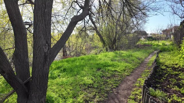 Scenic dirt path winds along a riverbank in a lush park on a sunny spring day. Vibrant green grass grows under large trees with thick bark. A wooden bird feeder hangs from a sturdy tree branch.