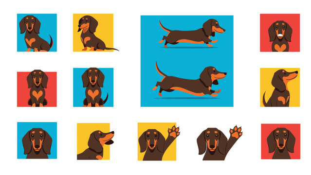 Colorful collection of twelve square icons showing a dachshund dog in various funny poses and emotional states.