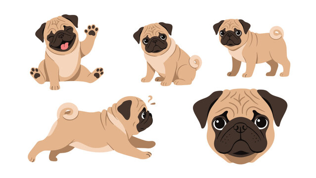 Set of cute pug dog character illustrations showing various playful poses and adorable facial expressions for pug enthusiasts.
