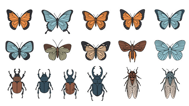 Grid of colorful insect illustrations featuring various types of butterflies, beetles, and cicadas in a detailed artistic style.
