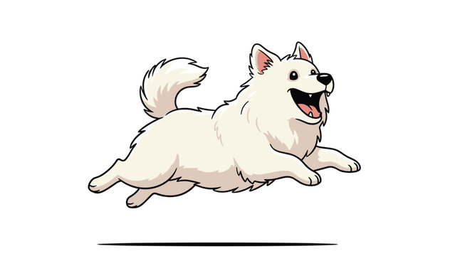 Fluffy white Japanese Spitz or Samoyed puppy runs and jumps with joy showing a happy open mouthed expression on a white background.