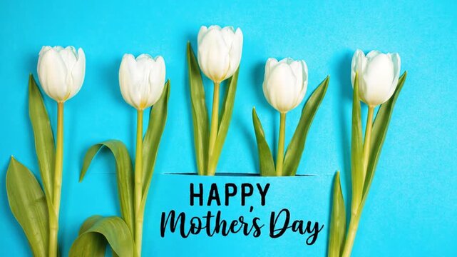 White tulips with Happy Mother's Day text on blue background