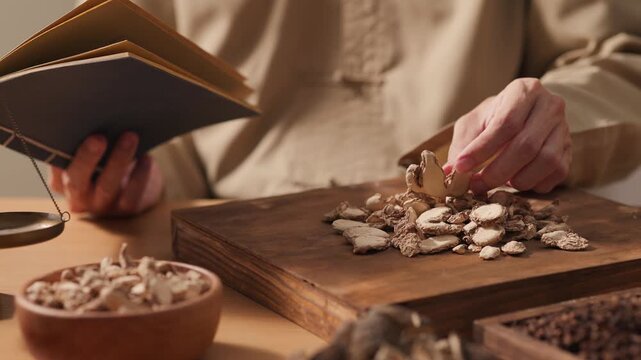 Close-up of practitioner examining dried herbal slices while referencing a book. Shows analysis, identification and study of Chinese herbal ingredients in traditional medicine practice.