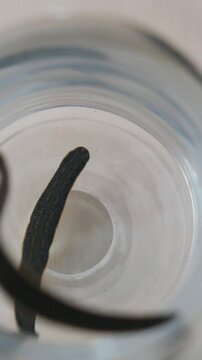 Bank with medical leeches