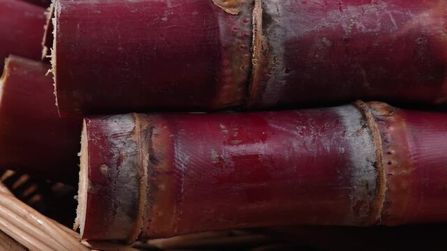 video of close-up of fresh sugarcane.	