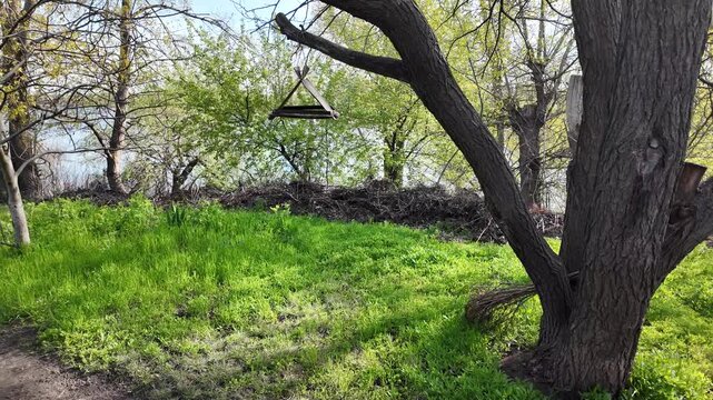 Scenic dirt path winds along a riverbank in a lush park on a sunny spring day. Vibrant green grass grows under large trees with thick bark. A wooden bird feeder hangs from a sturdy tree branch.