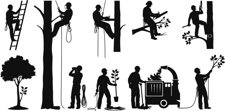 Set of Professional Arborist Silhouettes Performing Tree Maintenance and Forestry Tasks Including Climbing Pruning and Wood Chipping Vector Illustration