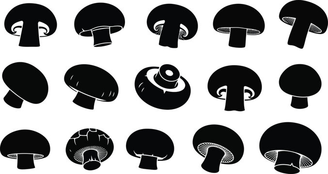 Collection of black silhouette champignon mushroom in various poses white