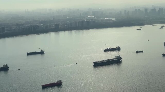 Aerial View of Cargo Ships Anchored on the Coastline. scale of maritime logistics and its proximity to major metropolitan centers.