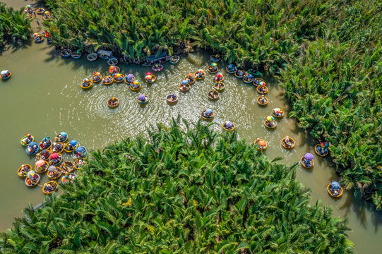 Aerial view, tourists from Thailand, Korea, America and Japan are relax and experiencing a basket boat tour at the coconut water ( mangrove palm ) forest in Cam Thanh village, Hoi An, Da Nang, Vietnam