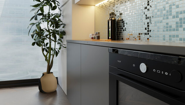 Modern minimalistic home kitchen interior with oven and plant