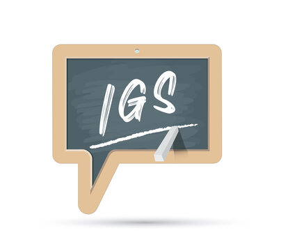 IGS - impot sur les grandes successions - acronyme