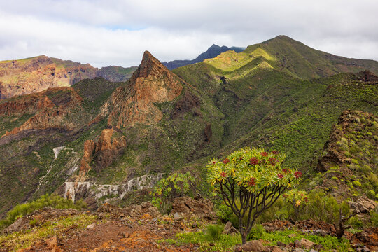 Mountain landscape view of Risco Blanco in Tenerife