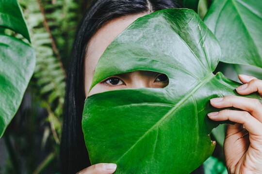 Woman hiding face with monstera leaf