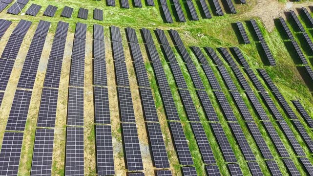 Rows of solar panels stretch across an open area, capturing sunlight to generate energy. The panels are arranged on grass, forming a vast landscape in a rural location.