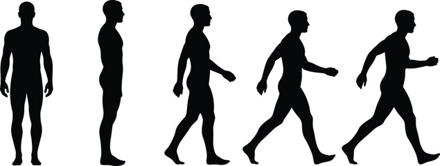 Human body silhouette sequence from standing to walking and running poses isolated on white background representing motion and activity