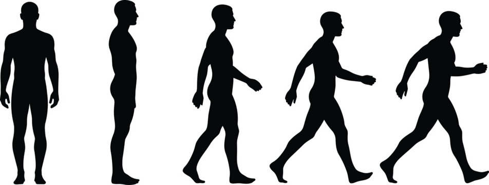 Human body silhouette sequence from standing to walking and running poses isolated on white background representing motion and activity