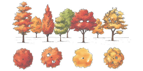 Set of hand drawn sketch trees for architectural landscape design and garden planning ©  Designer