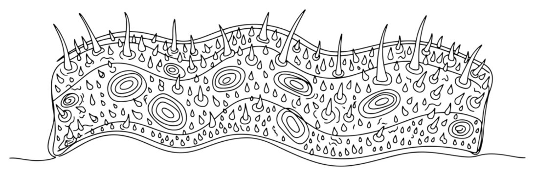 Microscopic membrane texture with spikes and organic cells in line art style