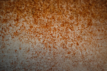 Fototapeta premium Brown speckled texture with white spots and grainy surface