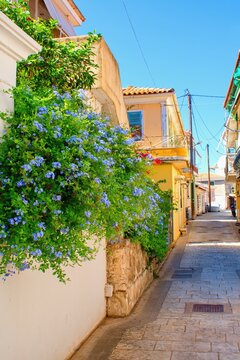 Lefkada town, Greece. Lovely typical greek houses and plumbago flowers in narrow aisle.