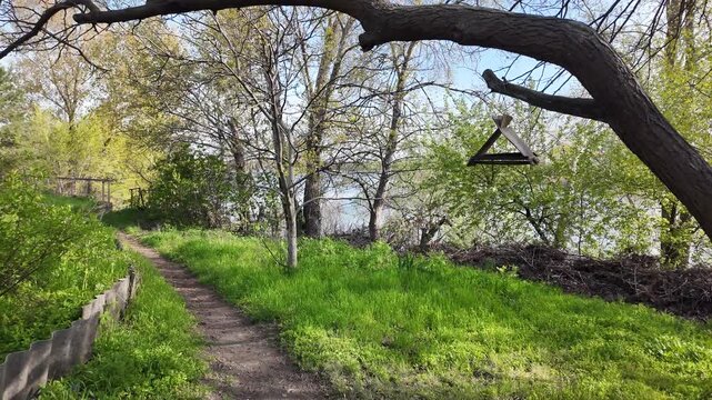 Scenic dirt path winds along a riverbank in a lush park on a sunny spring day. Vibrant green grass grows under large trees with thick bark. A wooden bird feeder hangs from a sturdy tree branch.
