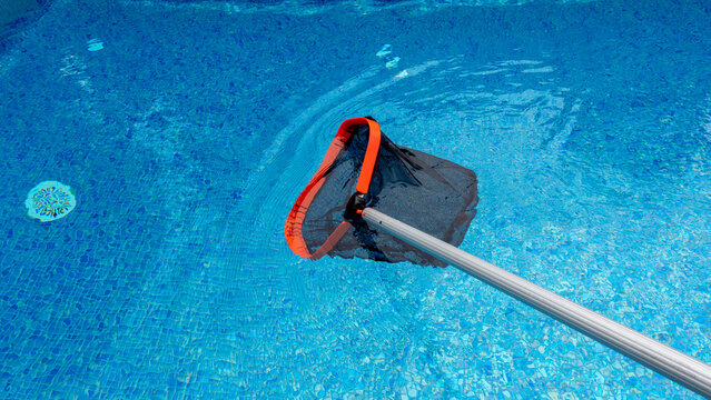 Pool skimmer net in use cleaning a residential swimming pool, maintaining clear blue water - pool maintenance concept
