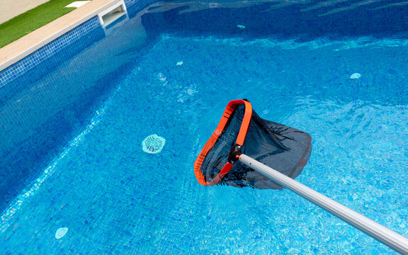 Pool skimmer net in use cleaning a residential swimming pool, maintaining clear blue water - pool maintenance concept